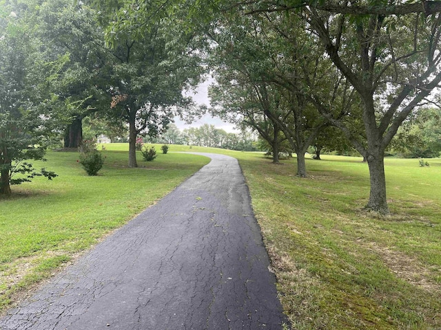 view of road