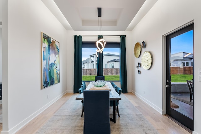 dining room featuring a wealth of natural light, a raised ceiling, and light wood finished floors