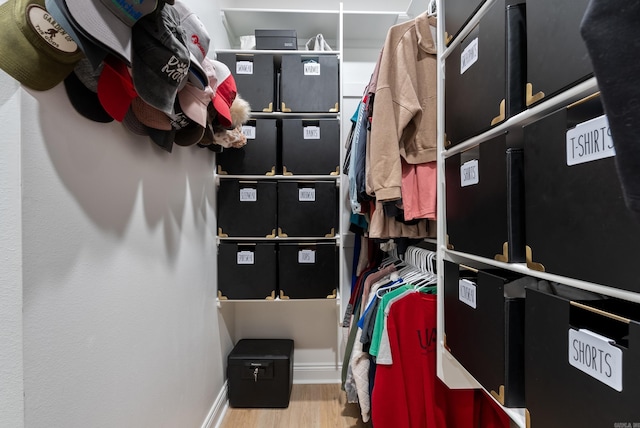 walk in closet featuring wood finished floors