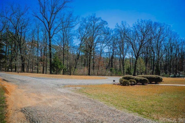 view of road with a wooded view