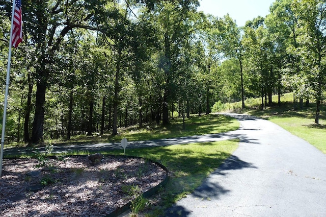 view of road