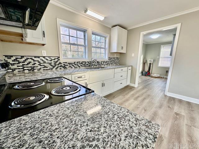 kitchen with a sink, white cabinets, light wood-style floors, decorative backsplash, and crown molding
