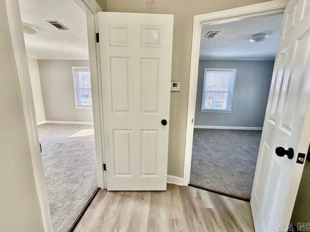 corridor featuring carpet flooring, visible vents, a textured ceiling, and wood finished floors