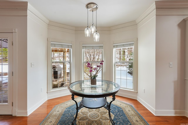 dining space featuring baseboards, wood finished floors, and a healthy amount of sunlight