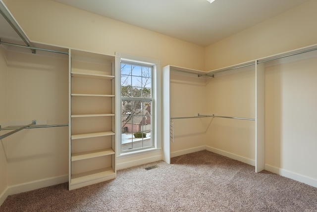 spacious closet with carpet floors and visible vents