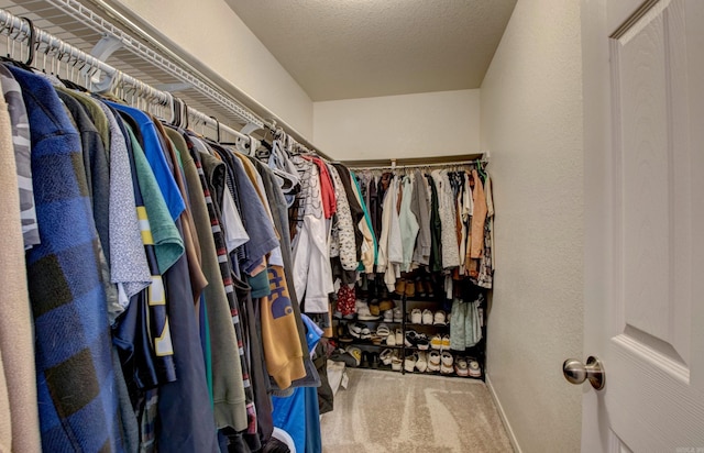 walk in closet with carpet flooring