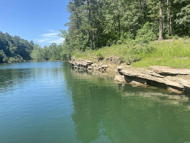 100 Stone Bridge Cv, Drasco AR, 72543 land for sale