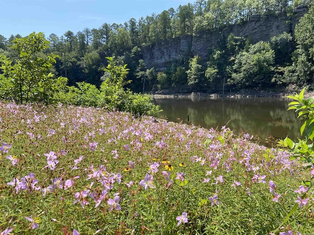 Listing photo 2 for 100 Stone Bridge Cv, Drasco AR 72543