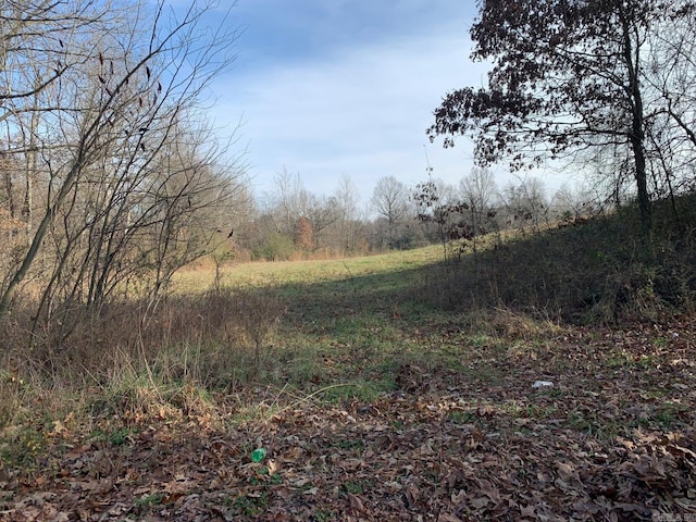 Address Not Disclosed, Piggott AR, 72454 land for sale