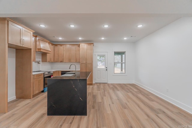 kitchen featuring electric range, custom exhaust hood, light wood-style flooring, and baseboards