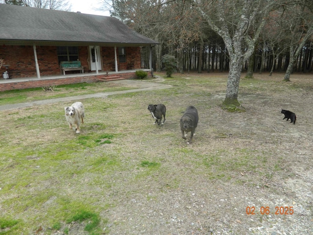 view of yard featuring a porch