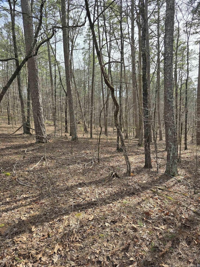 LOT010 Palencia, Hot Springs Village AR, 71909 land for sale