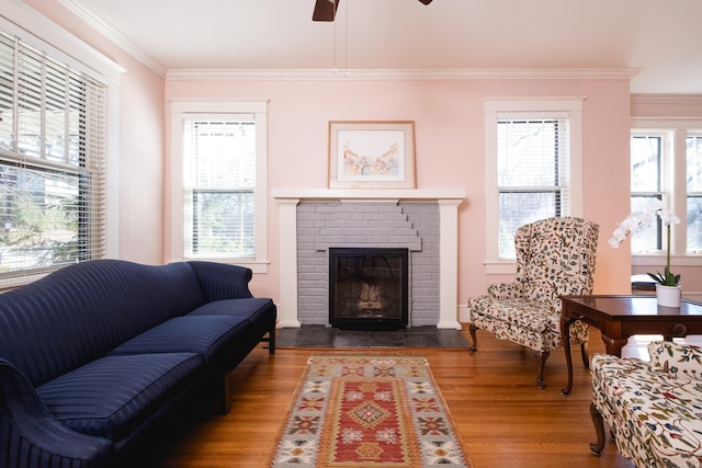 living room featuring ceiling fan, ornamental molding, a fireplace, and wood finished floors