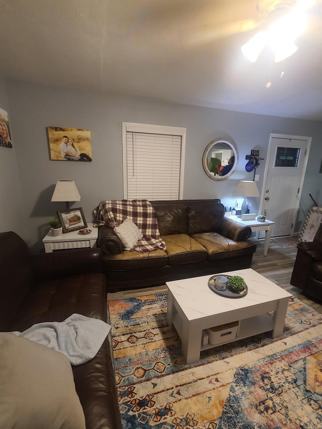 living room with wood finished floors