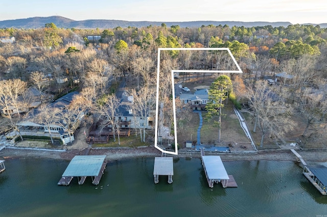 birds eye view of property featuring a forest view and a water and mountain view