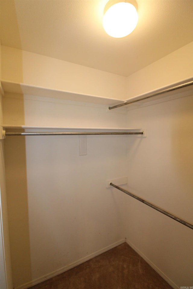 spacious closet with dark colored carpet