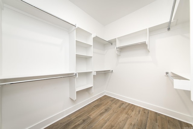 walk in closet with dark wood-type flooring