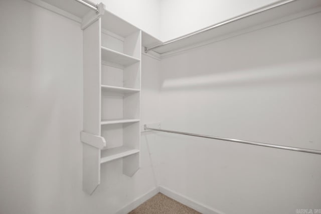 spacious closet with carpet floors