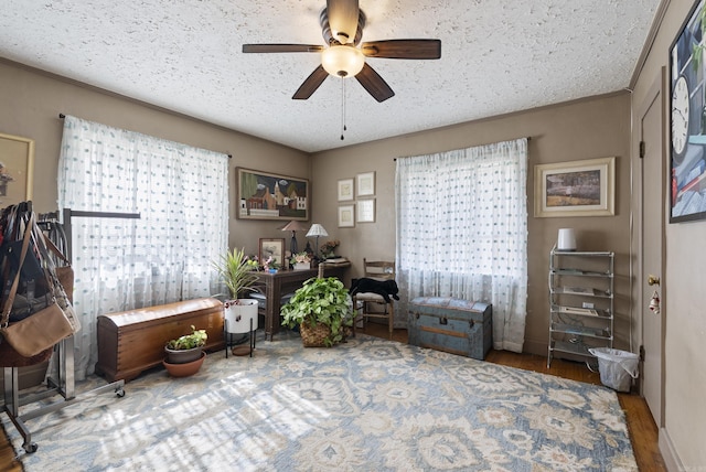 office space featuring a textured ceiling, wood finished floors, and a ceiling fan