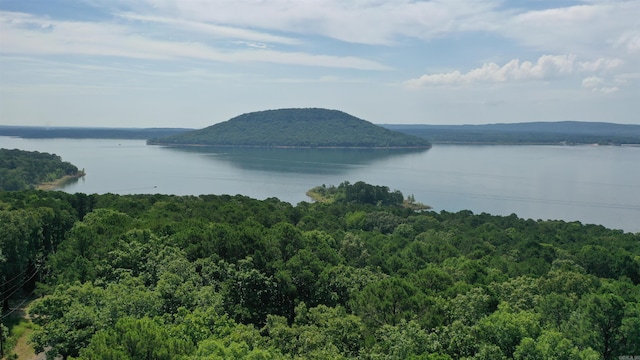 water view featuring a forest view