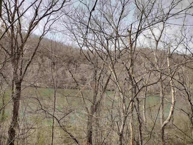 000 S Riverview, Sylamore AR, 72560 land for sale