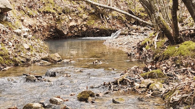 view of local wilderness featuring a water view