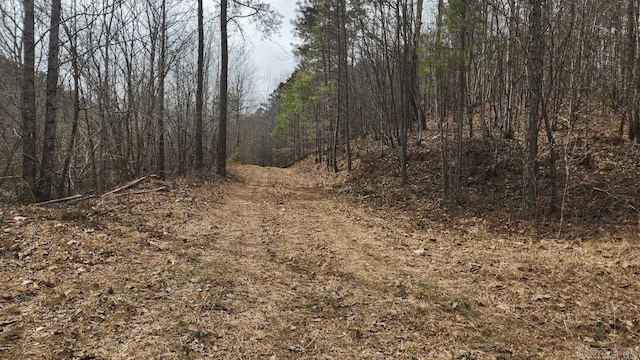 view of local wilderness with a wooded view