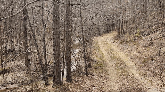 view of local wilderness