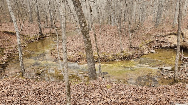 view of nature with a forest view