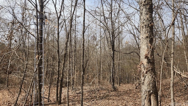 view of nature with a forest view