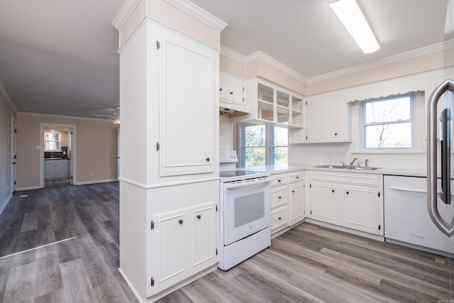 kitchen with ornamental molding, white appliances, a healthy amount of sunlight, and a sink