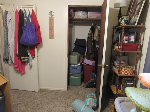 carpeted bedroom with a closet