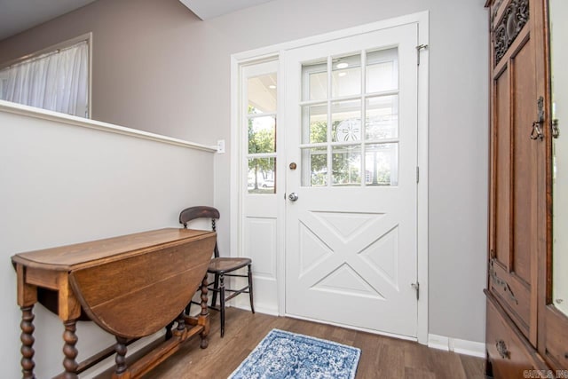 entryway featuring wood finished floors