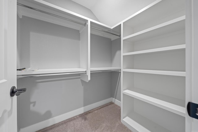 spacious closet with carpet