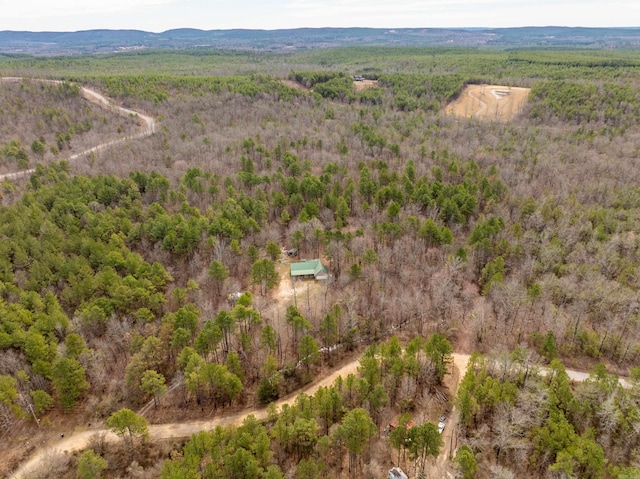 birds eye view of property featuring a mountain view and a view of trees