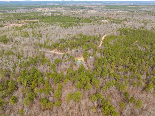 bird's eye view with a mountain view