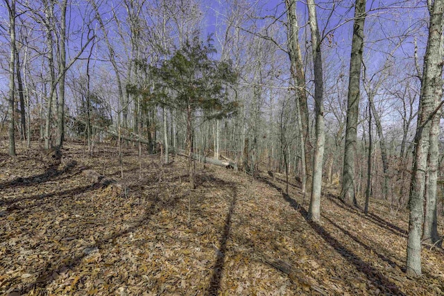 Listing photo 2 for 100D Chism Trail, Hardy AR 72542