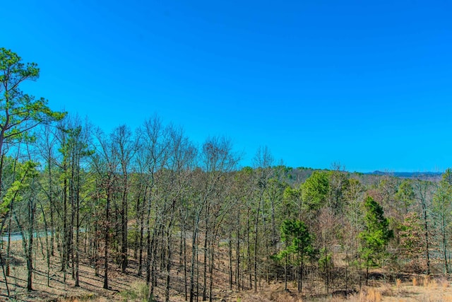 view of local wilderness with a wooded view