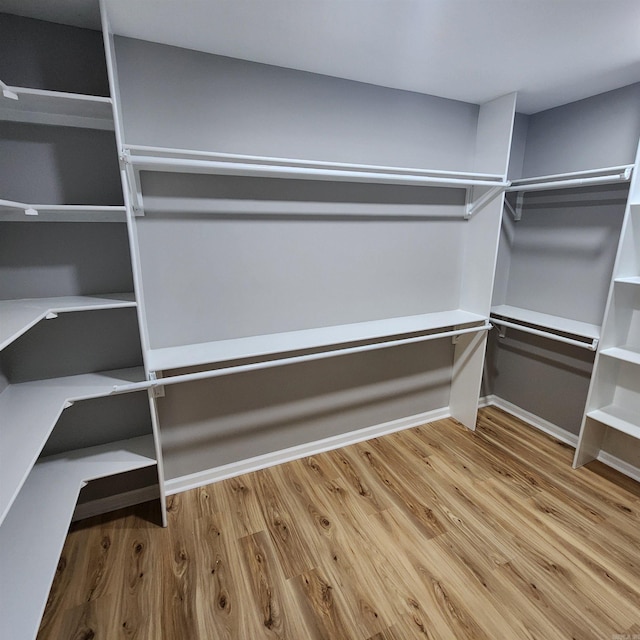 walk in closet featuring wood finished floors