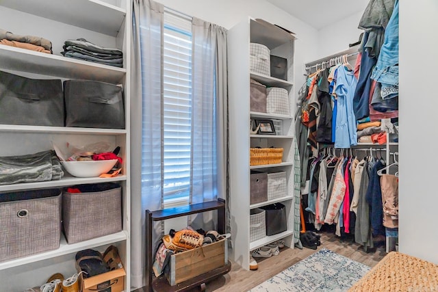 walk in closet featuring wood finished floors