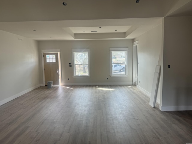 foyer with wood finished floors, a raised ceiling, and baseboards