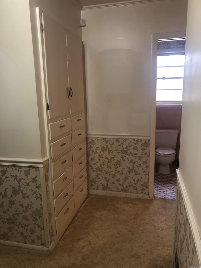 bathroom featuring a wainscoted wall and toilet