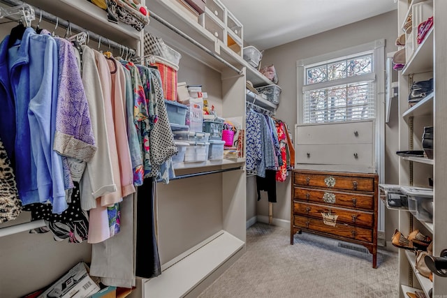 view of walk in closet