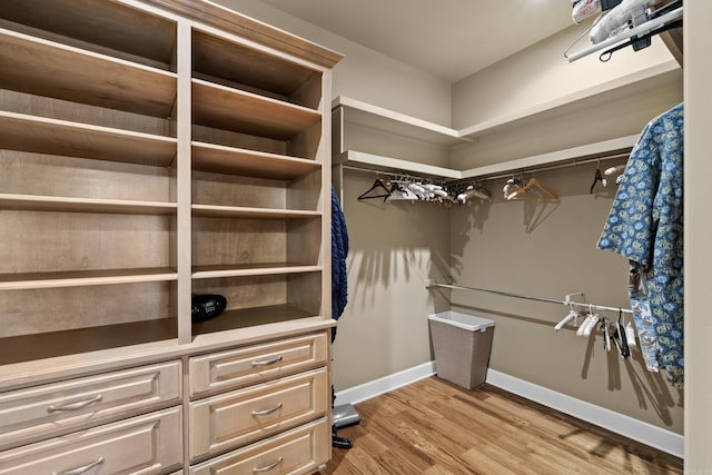 walk in closet with light wood finished floors