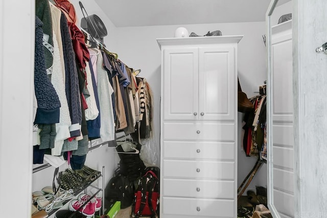 view of walk in closet