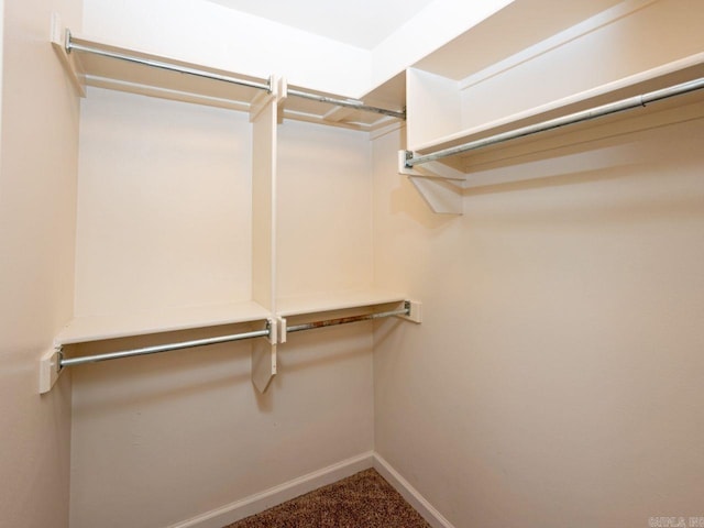 walk in closet with carpet flooring