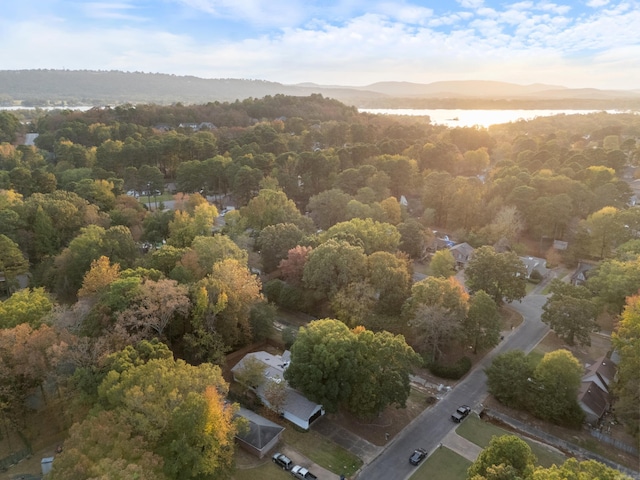 bird's eye view with a water view and a view of trees