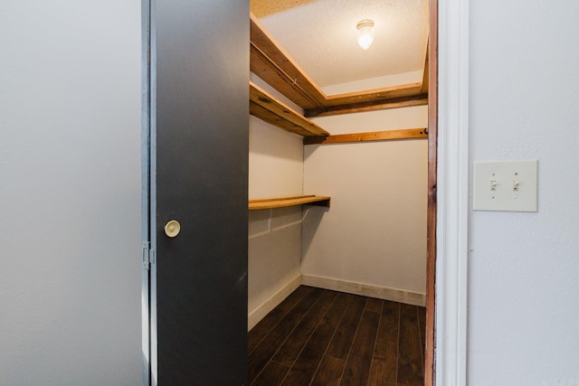 spacious closet featuring dark wood-type flooring