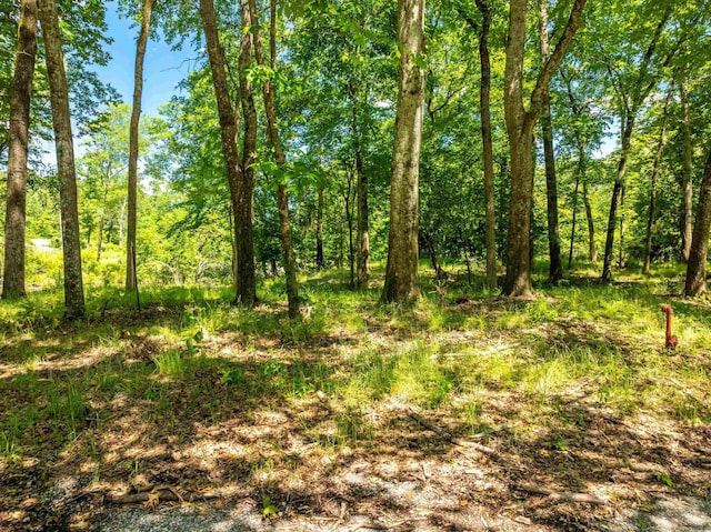 Listing photo - caption unavailable