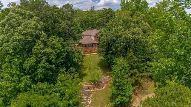 bird's eye view with a forest view